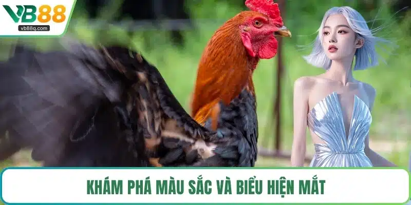 Khám phá màu sắc và biểu hiện mắt